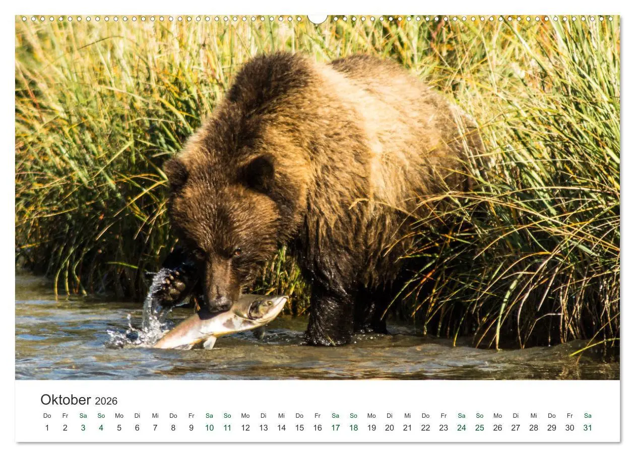 Bild: 9783457759820 | Into the Wild - Kanada und Alaska (hochwertiger Premium...