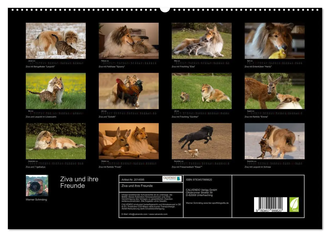Bild: 9783457999820 | Ziva und ihre Freunde (hochwertiger Premium Wandkalender 2026 DIN...