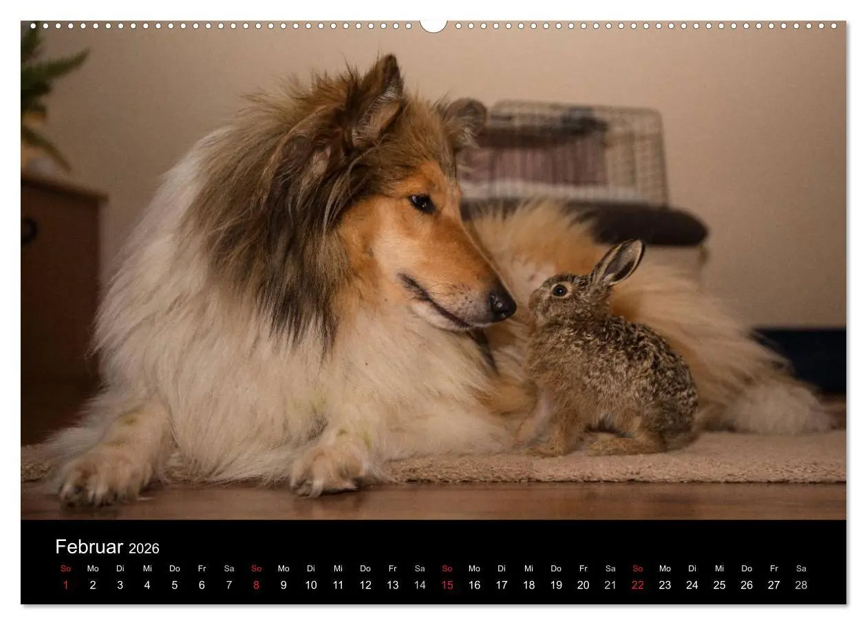 Bild: 9783457999820 | Ziva und ihre Freunde (hochwertiger Premium Wandkalender 2026 DIN...