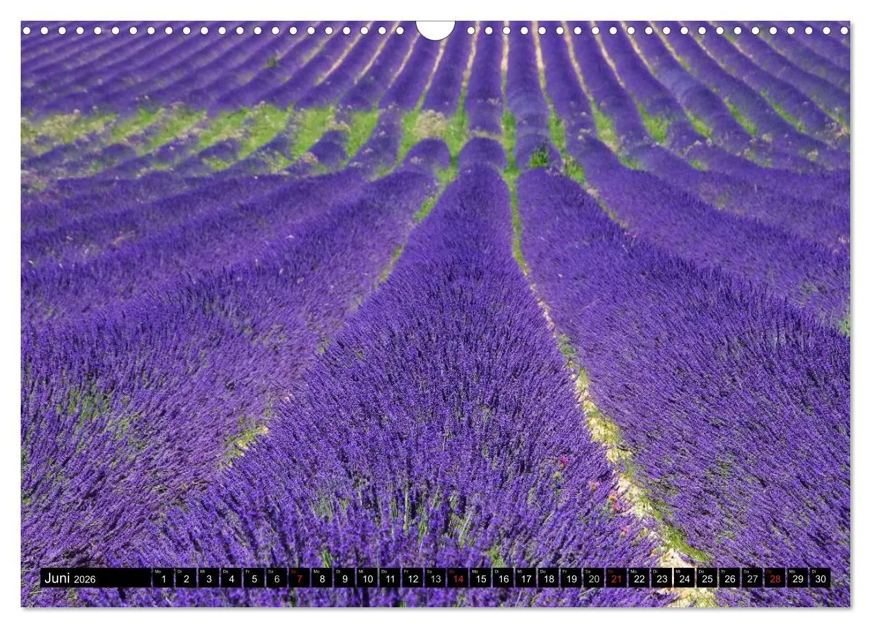 Bild: 9783516159820 | Provence (Wandkalender 2026 DIN A3 quer), CALVENDO Monatskalender