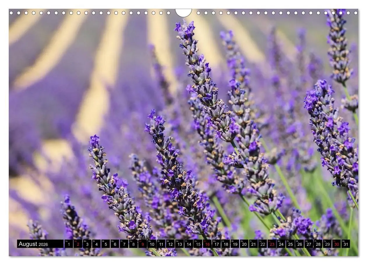 Bild: 9783516159820 | Provence (Wandkalender 2026 DIN A3 quer), CALVENDO Monatskalender