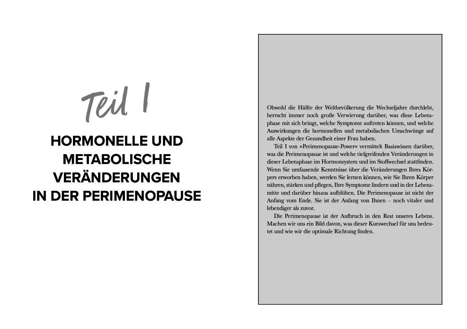 Bild: 9783742329820 | Perimenopause-Power | Mariza Snyder | Taschenbuch | 320 S. | Deutsch