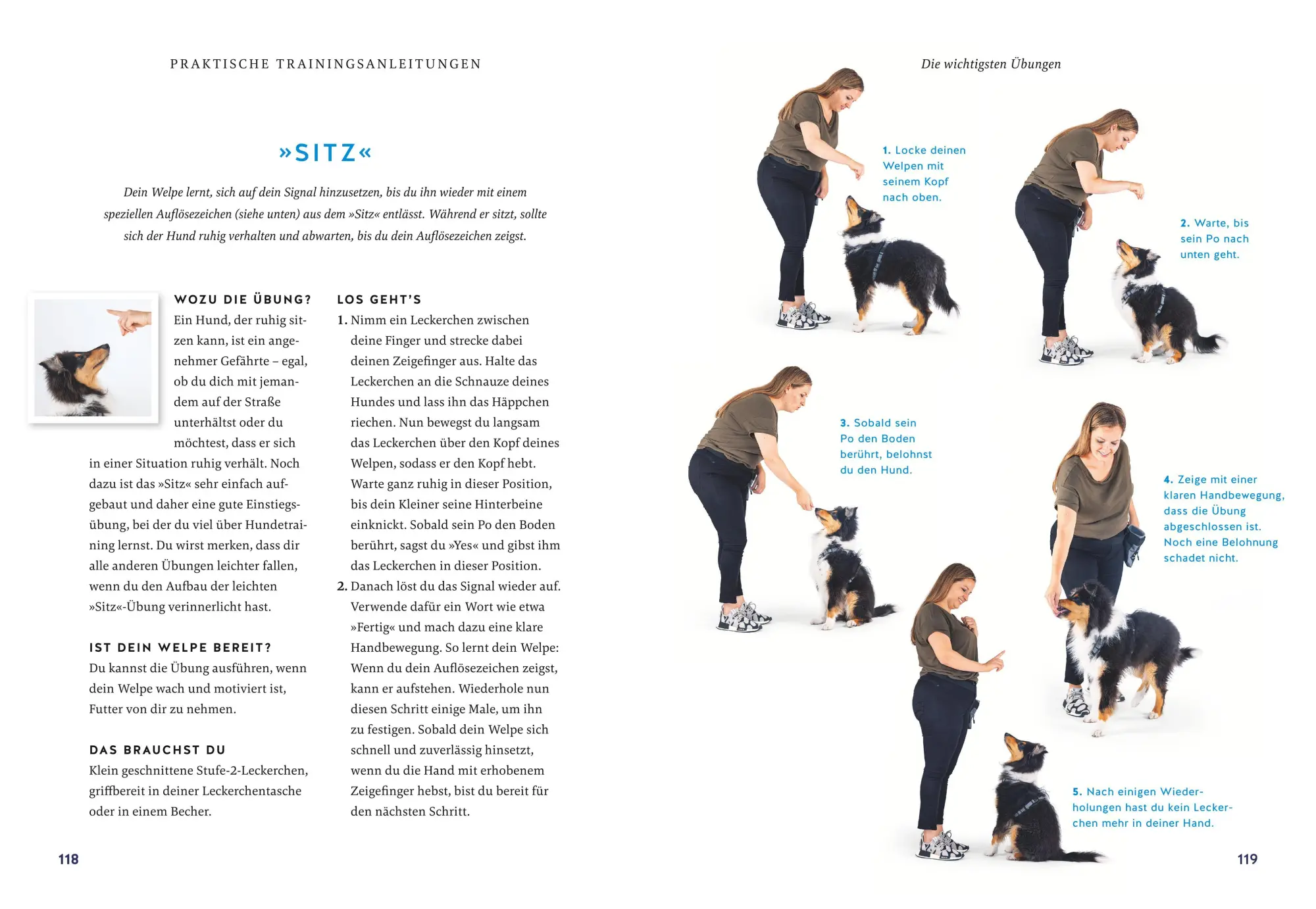 Bild: 9783833889820 | Der Welpen-Alltags-Helfer | Petra Frey | Buch | 192 S. | Deutsch