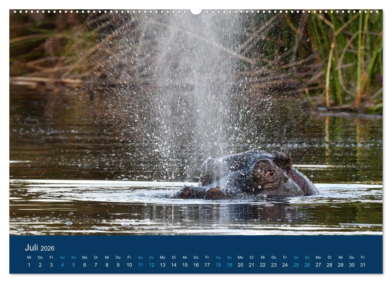Bild: 9783457439920 | Nilpferde, Kolosse in Afrika (hochwertiger Premium Wandkalender...