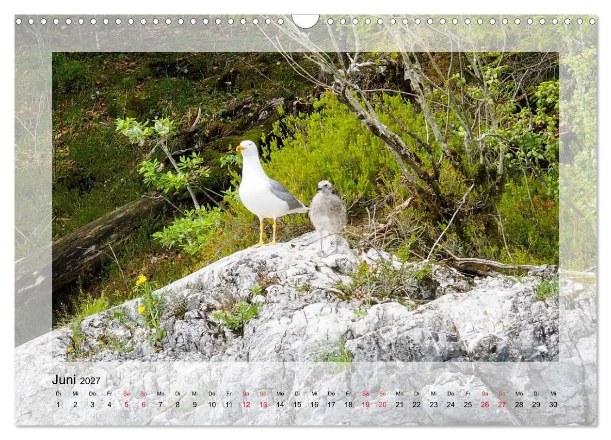 Bild: 9783569619920 | Walchensee (Wandkalender 2027 DIN A3 quer), CALVENDO Monatskalender