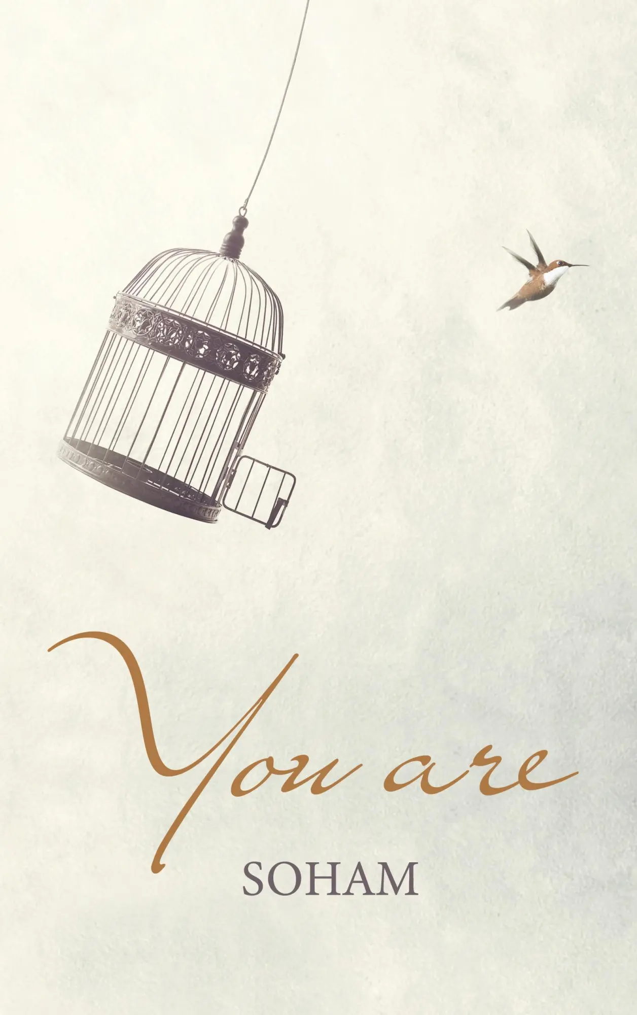 Cover: 9783756279920 | You Are | The Essential Teaching | Soham | Buch | Englisch | 2022