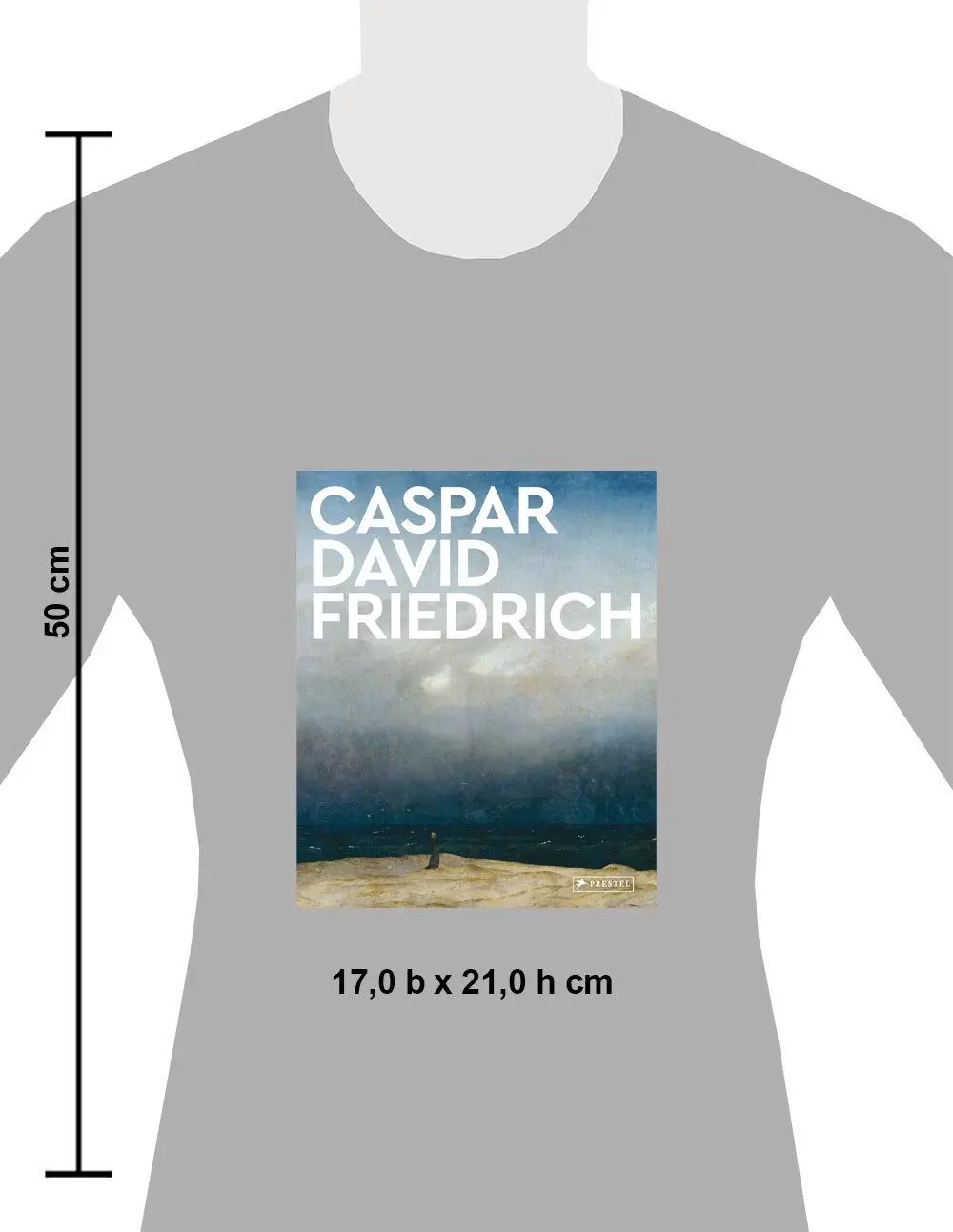 Bild: 9783791379920 | Caspar David Friedrich | Michael Robinson | Taschenbuch | 112 S.