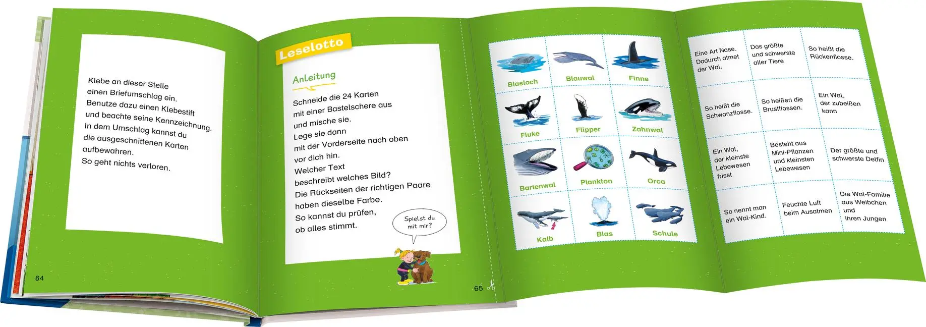 Bild: 9783473600021 | Wieso? Weshalb? Warum? Erstleser: Wale und Delfine (Band 3) | Noa