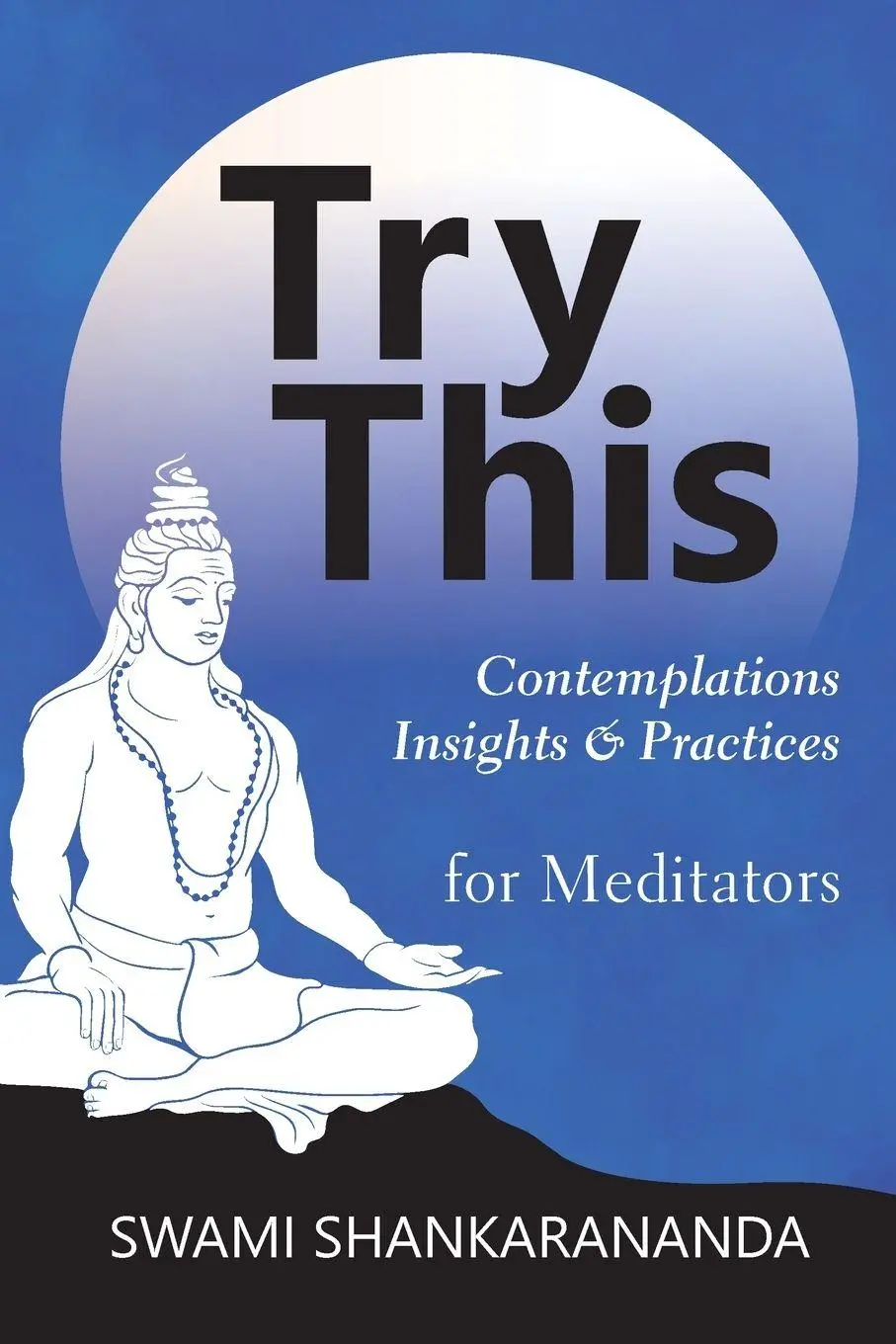 Cover: 9780646930121 | Try This | Contemplations Insights &amp; Practices for Meditators | Buch