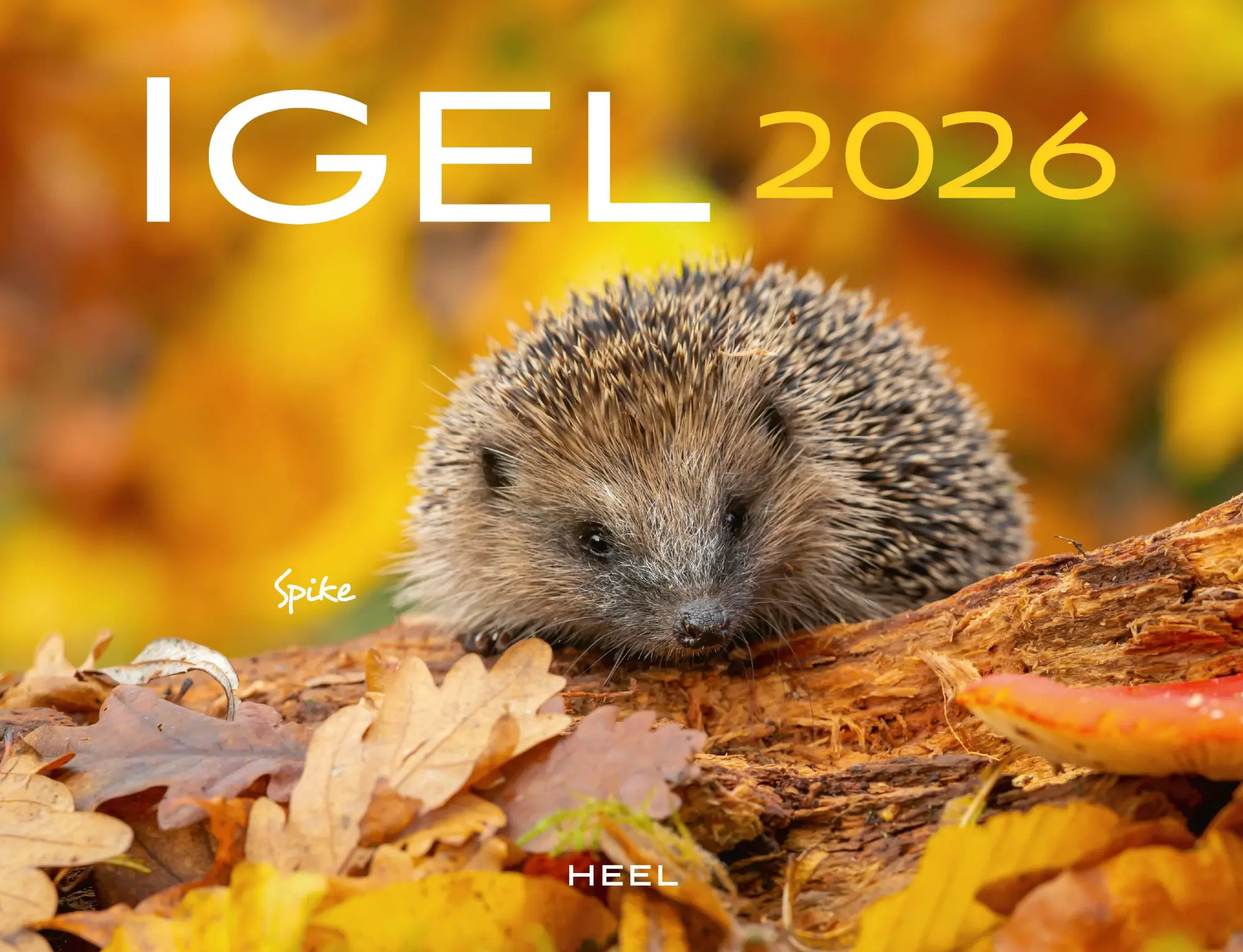 Cover: 9783690190121 | Kalender Igel 2026 Eintragkalender | Kalender | 14 S. | Deutsch | 2026