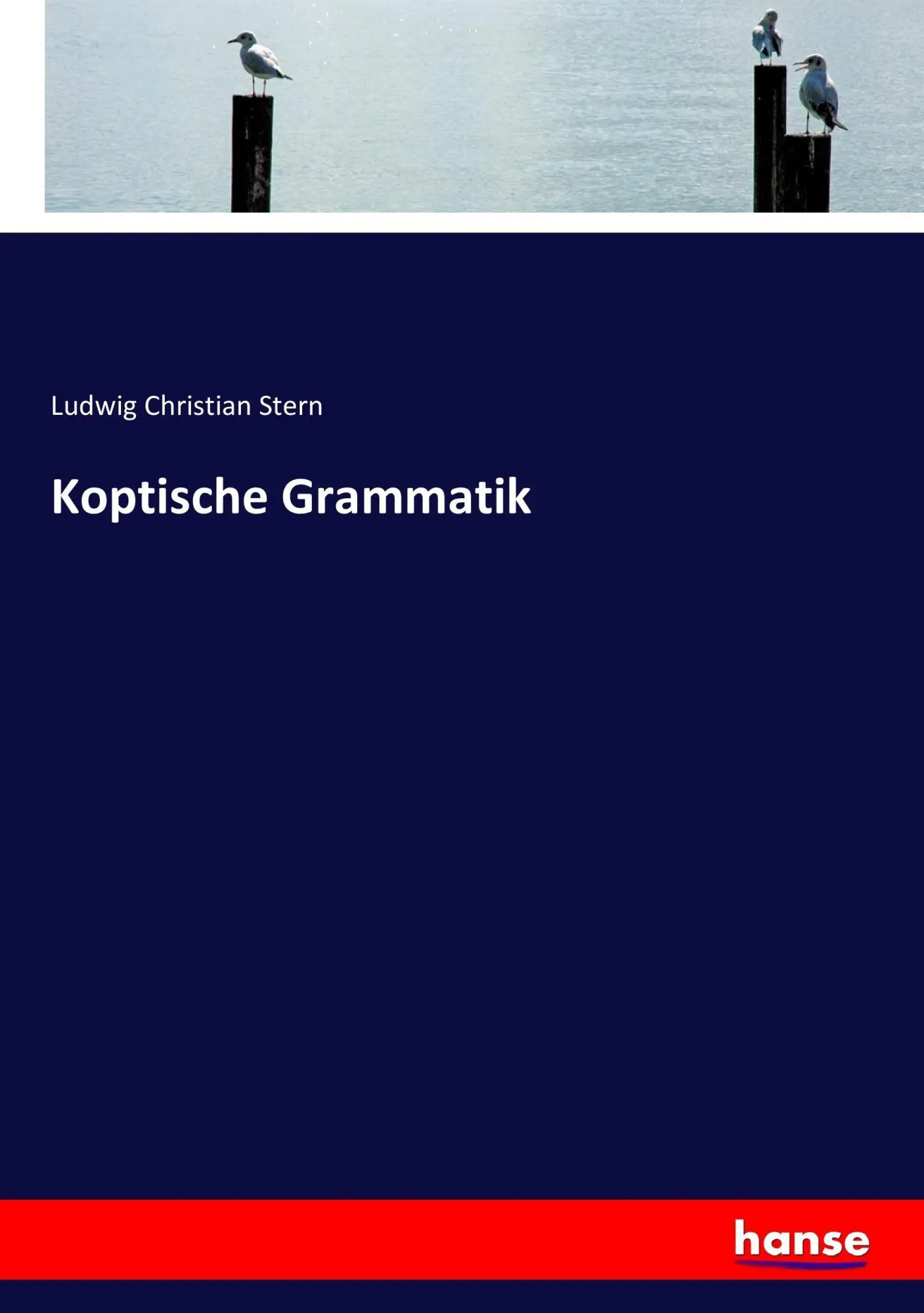 Cover: 9783744640121 | Koptische Grammatik | Ludwig Christian Stern | Taschenbuch | 492 S.