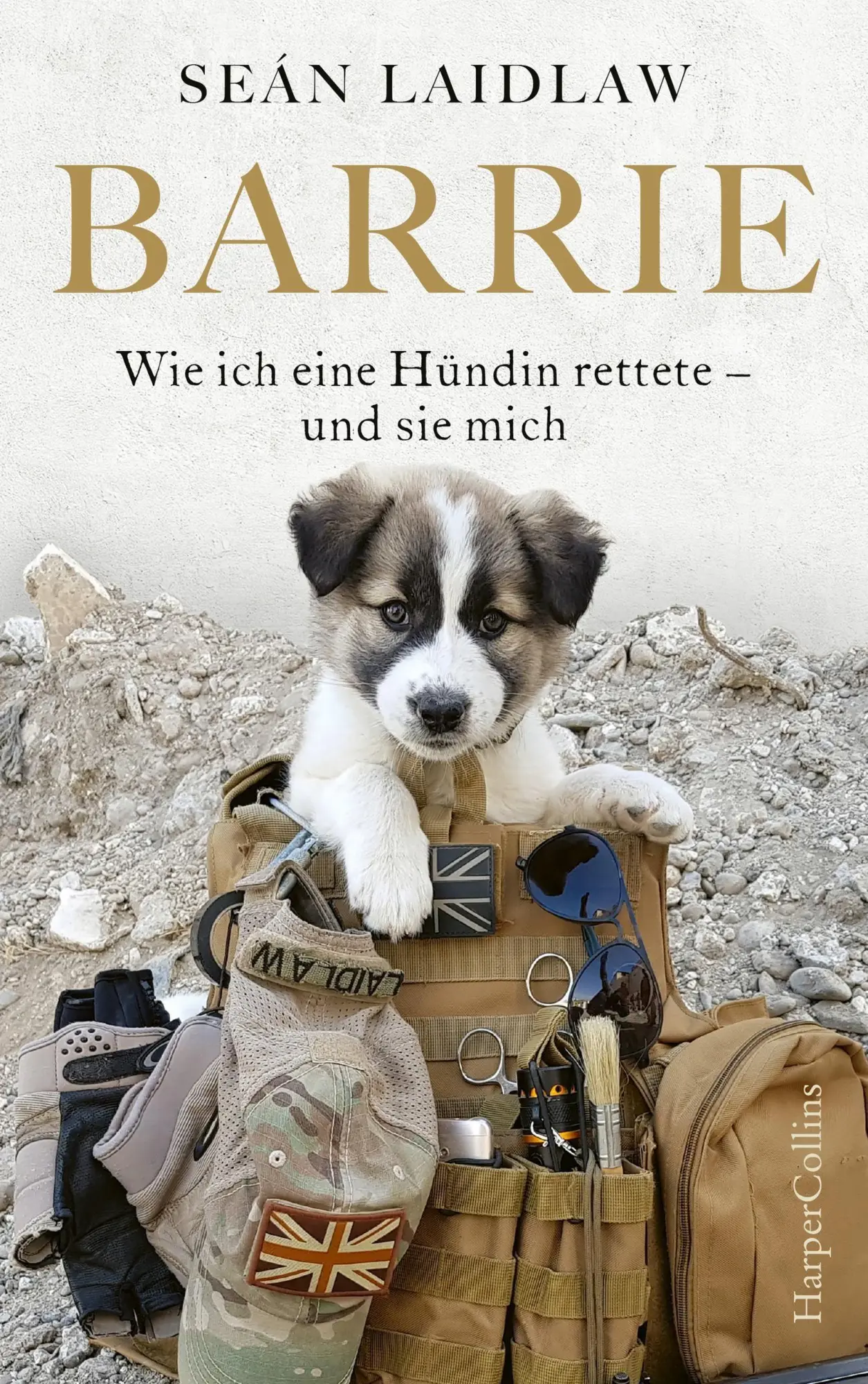 Cover: 9783749900121 | Barrie - Wie ich eine Hündin rettete - und sie mich | Sean Laidlaw