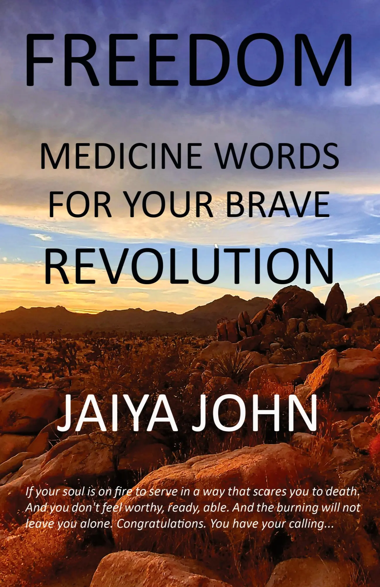 Cover: 9780998780221 | Freedom | Medicine Words for Your Brave Revolution | Jaiya John | Buch