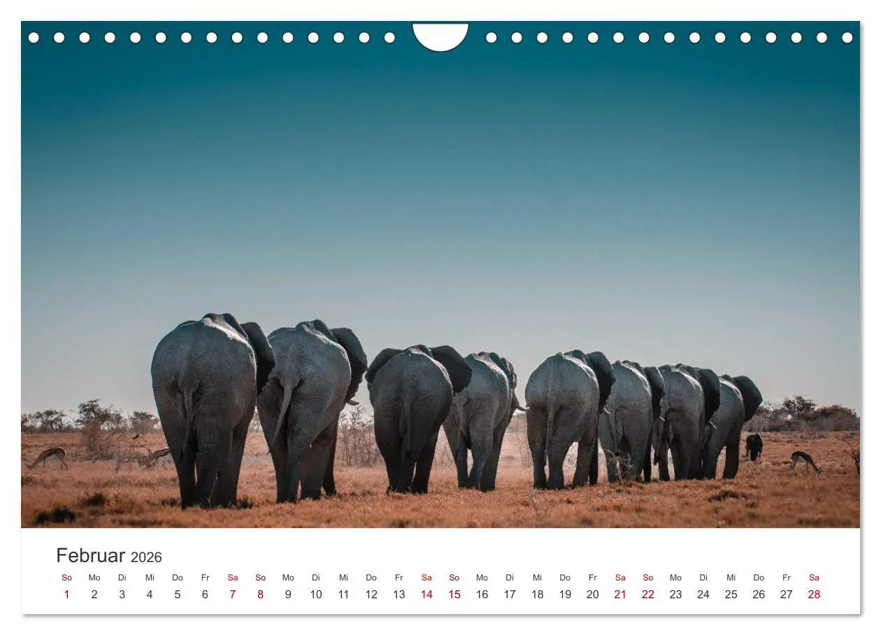Bild: 9783457600221 | Namibia - Das wunderschöne Land am Atlantik. (Wandkalender 2026 DIN...