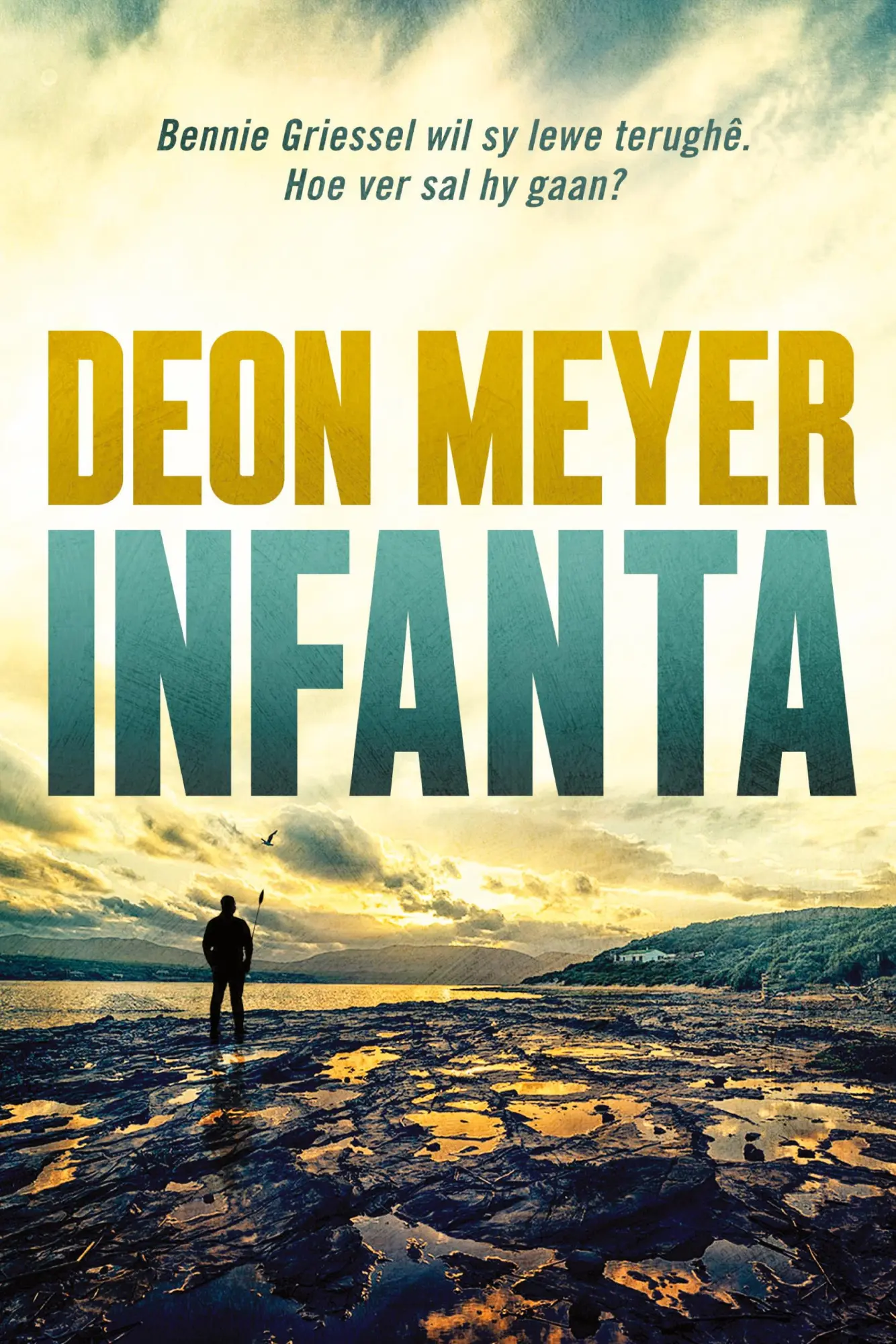 Cover: 9780798170321 | Infanta | Deon Meyer | Taschenbuch | Kartoniert / Broschiert | 2014