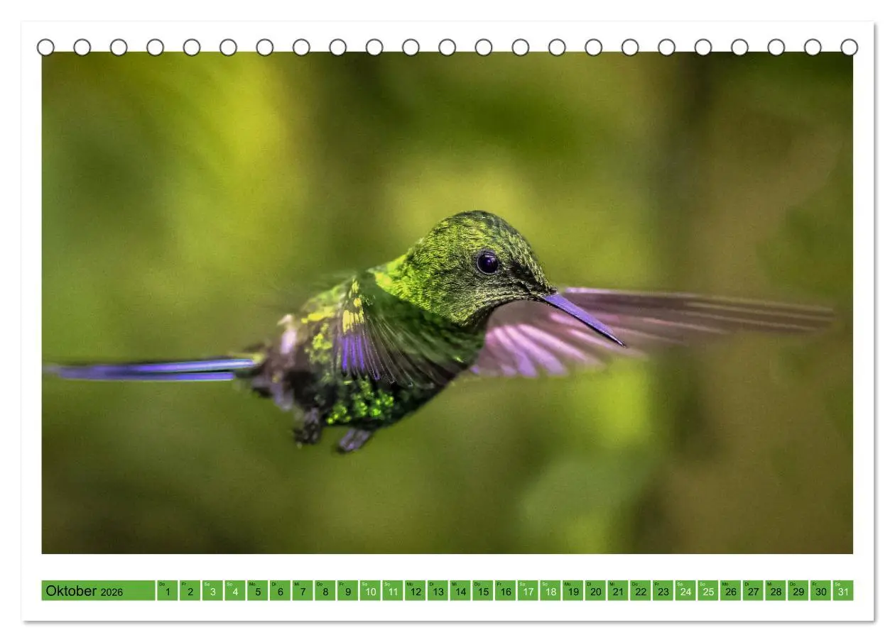 Bild: 9783457520321 | Kolibris; Anmut, Schönheit, Farben (Tischkalender 2026 DIN A5...