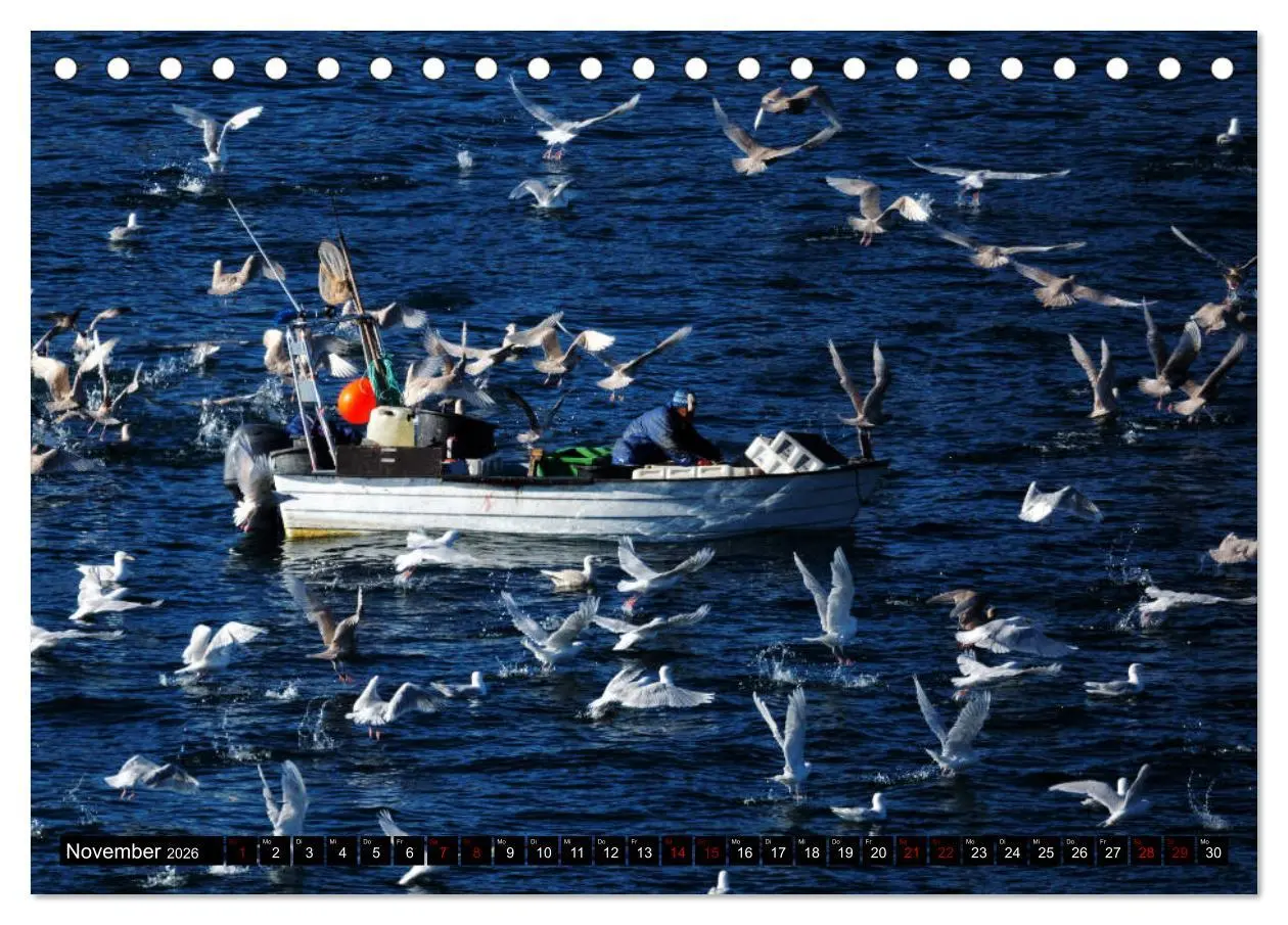 Bild: 9783457760321 | GRÖNLAND Eisfjord und Diskobucht (Tischkalender 2026 DIN A5 quer),...