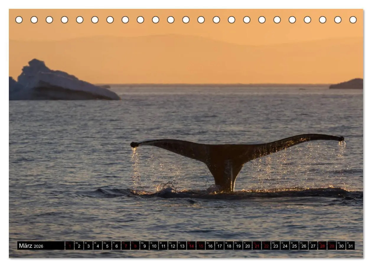 Bild: 9783457760321 | GRÖNLAND Eisfjord und Diskobucht (Tischkalender 2026 DIN A5 quer),...