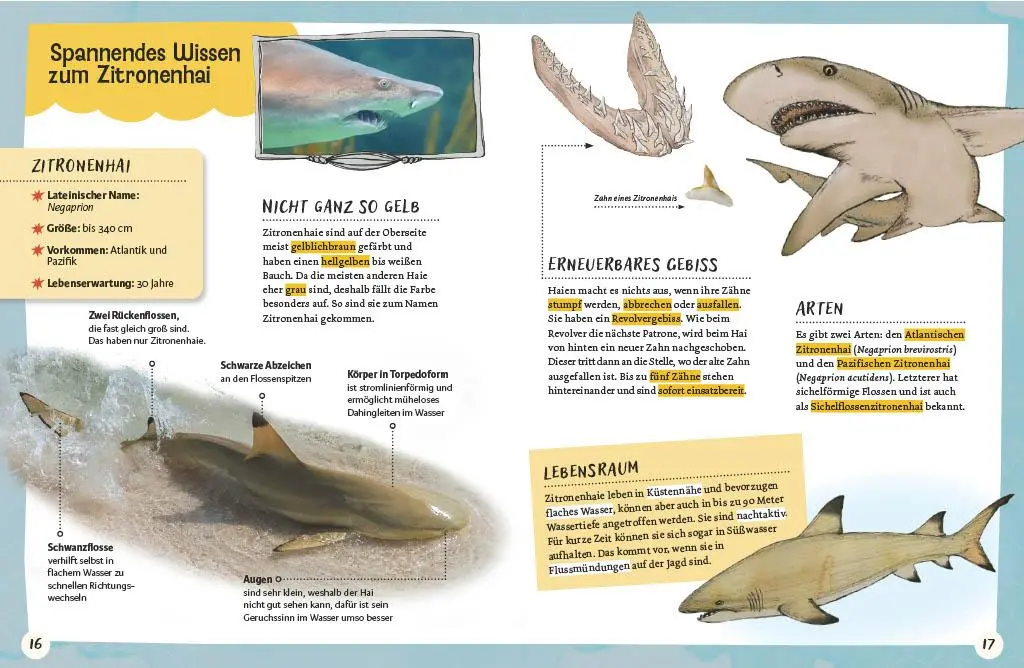 Bild: 9783968080321 | Gespenstfledermaus, Zitronenhai &amp; Co. | Christine Schreier | Buch