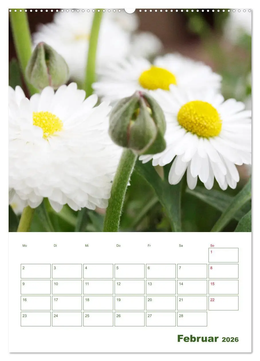 Bild: 9783516390421 | Weiße Blüten im Grünen (hochwertiger Premium Wandkalender 2026 DIN...