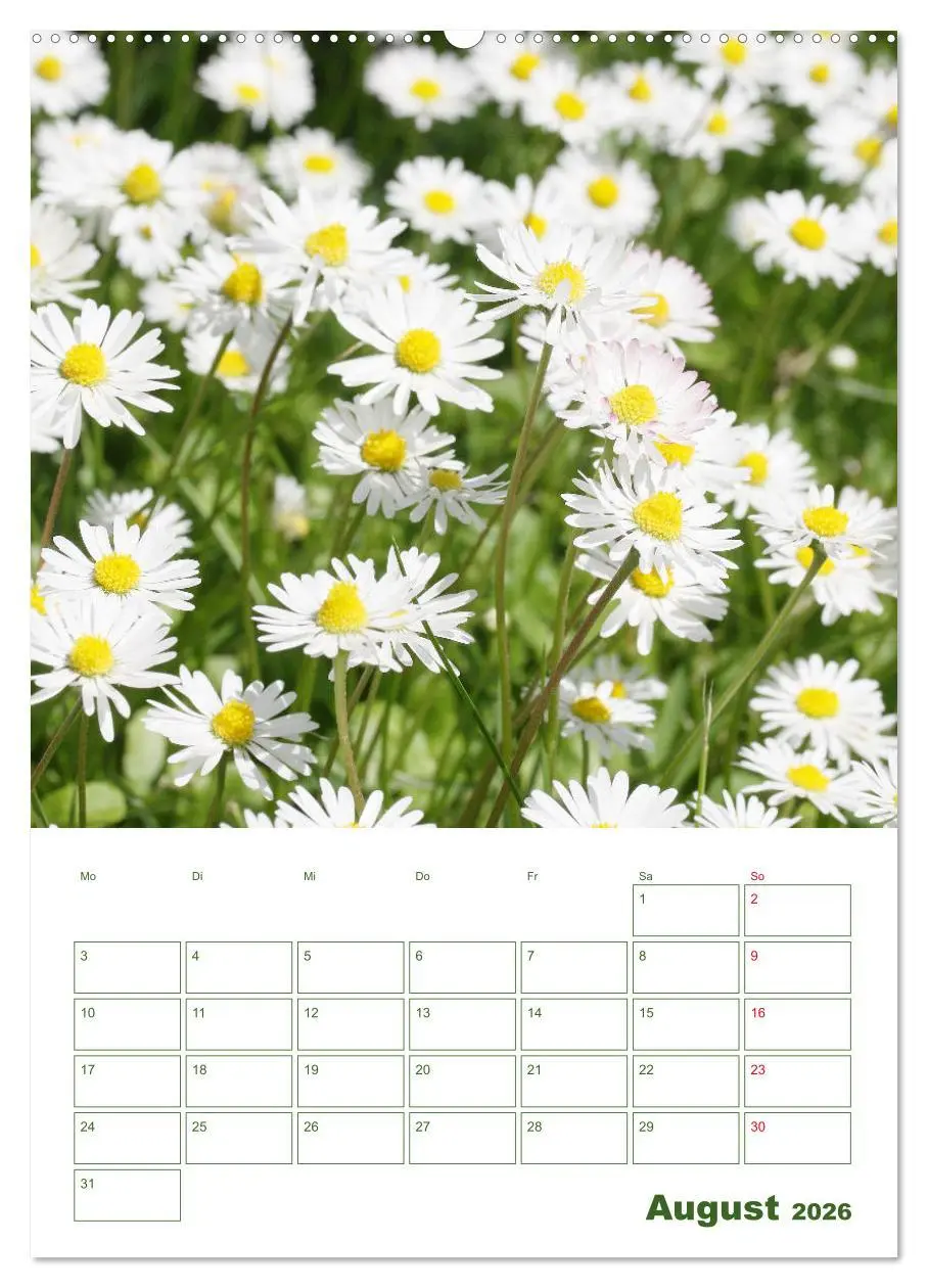 Bild: 9783516390421 | Weiße Blüten im Grünen (hochwertiger Premium Wandkalender 2026 DIN...