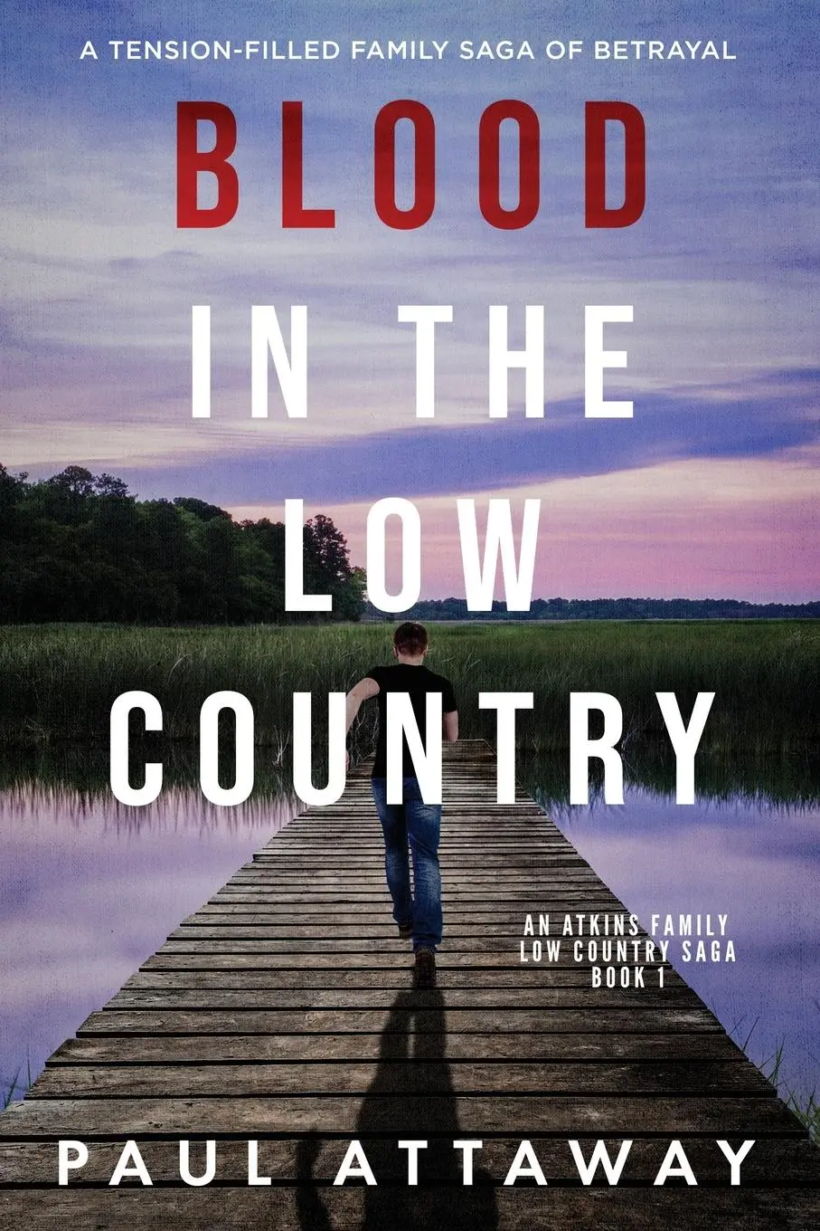 Cover: 9798985840421 | Blood in the Low Country | A Tension-Filled Family Saga Of Betrayal