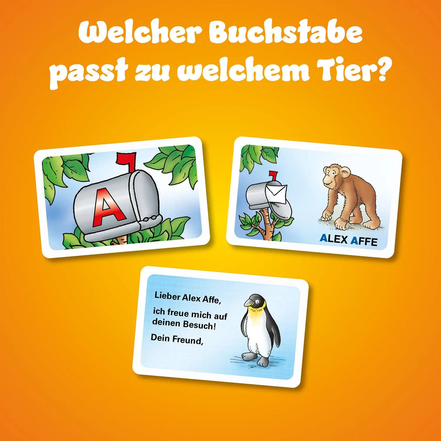 Bild: 4002051710521 | Kannst du das ABC? (Kinderspiel) | Tierisches Merkspiel | Haferkamp