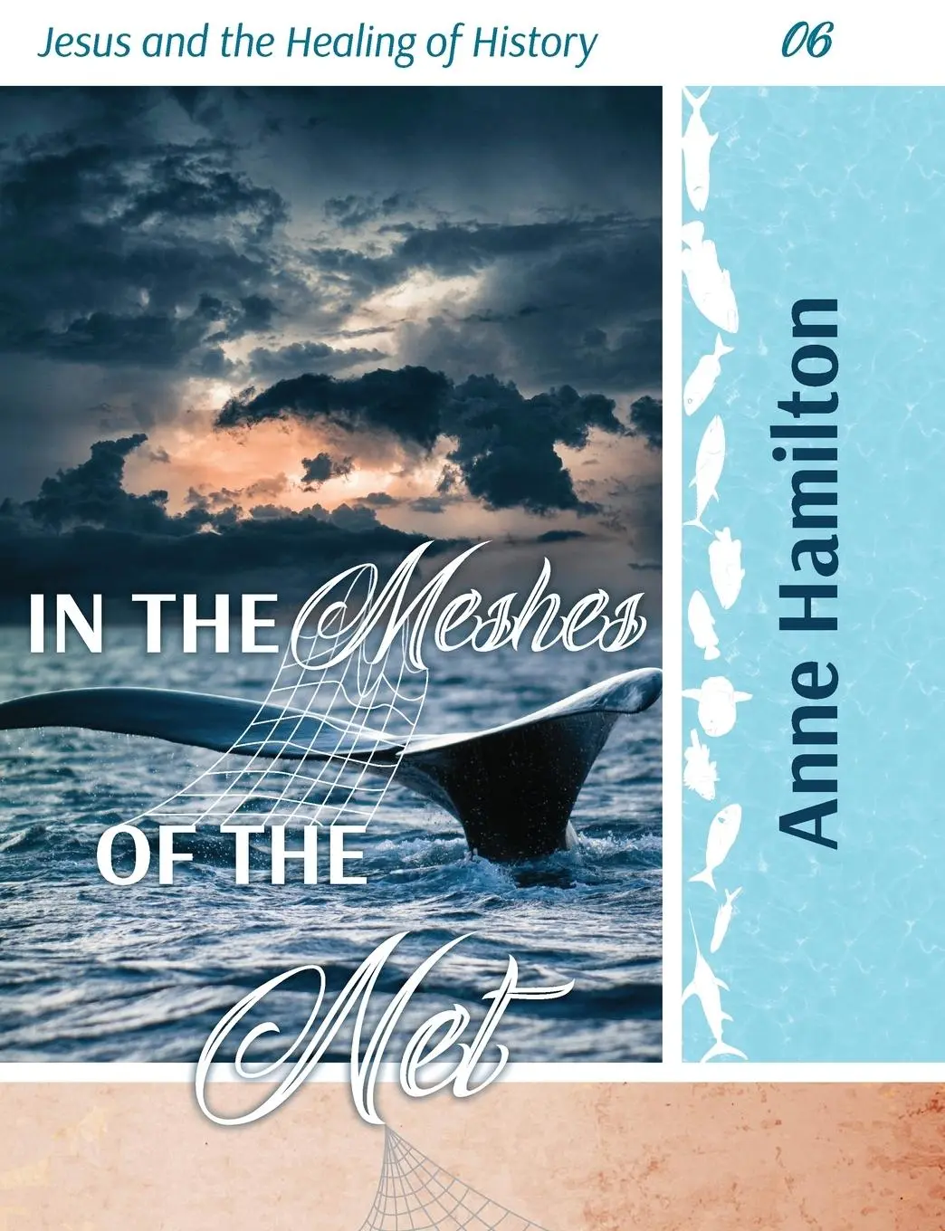 Cover: 9781925380521 | In the Meshes of the Net | Jesus and the Healing of History 06 | Buch