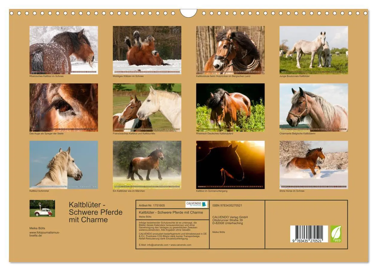 Bild: 9783435270521 | Kaltblüter - Schwere Pferde mit Charme (Wandkalender 2025 DIN A3...