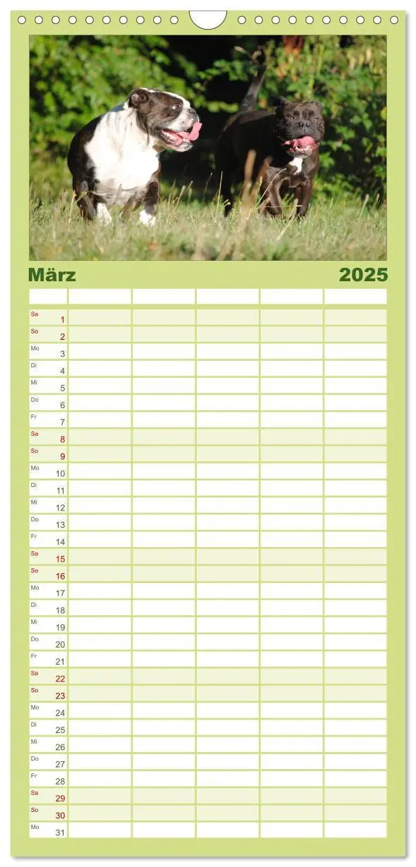 Bild: 9783457110621 | Familienplaner 2025 - Faszination Bulldogge mit 5 Spalten...