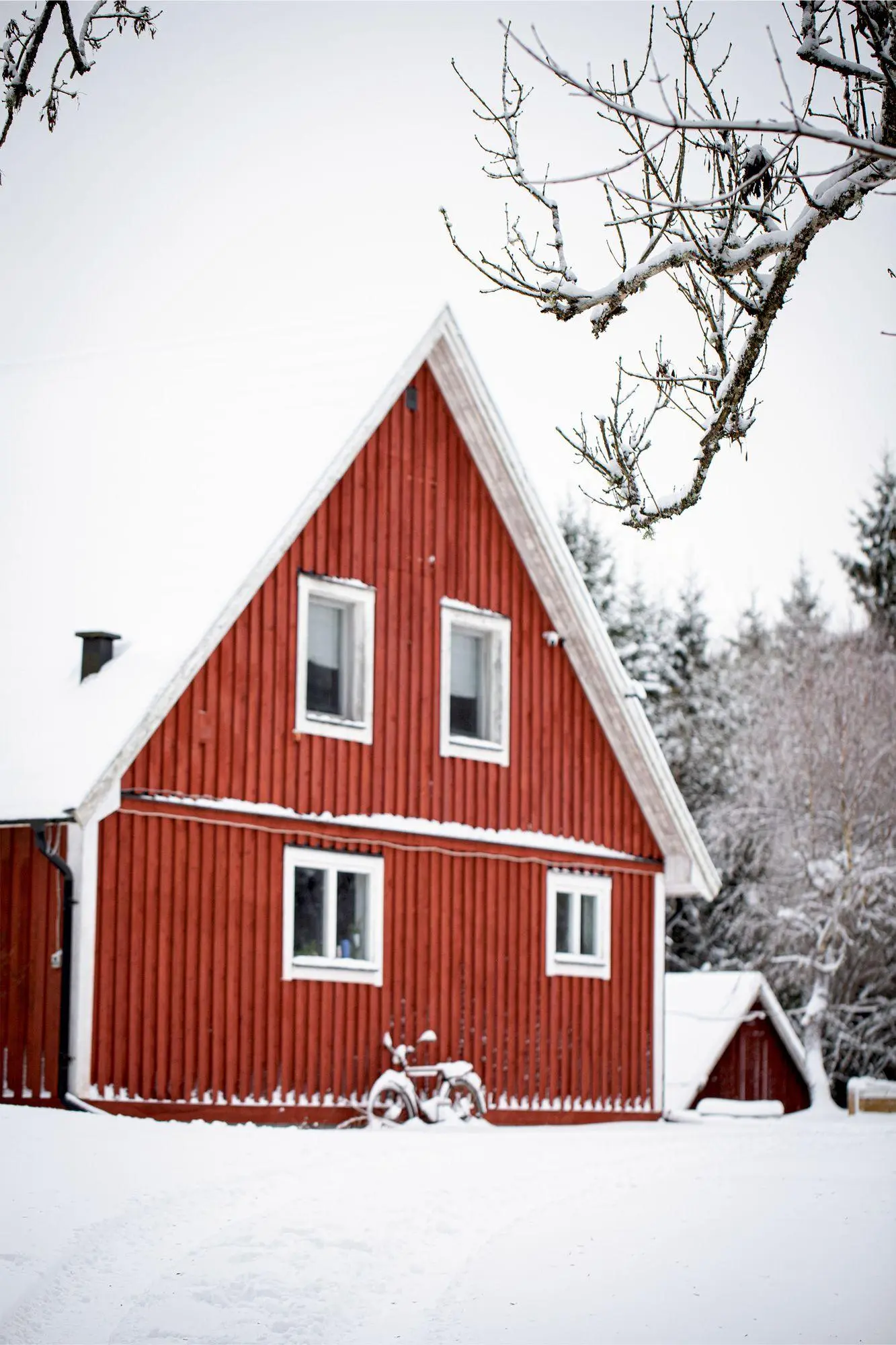 Bild: 9783756710621 | Weihnachten in Schweden | Rezepte und Geschichten zur Winterzeit