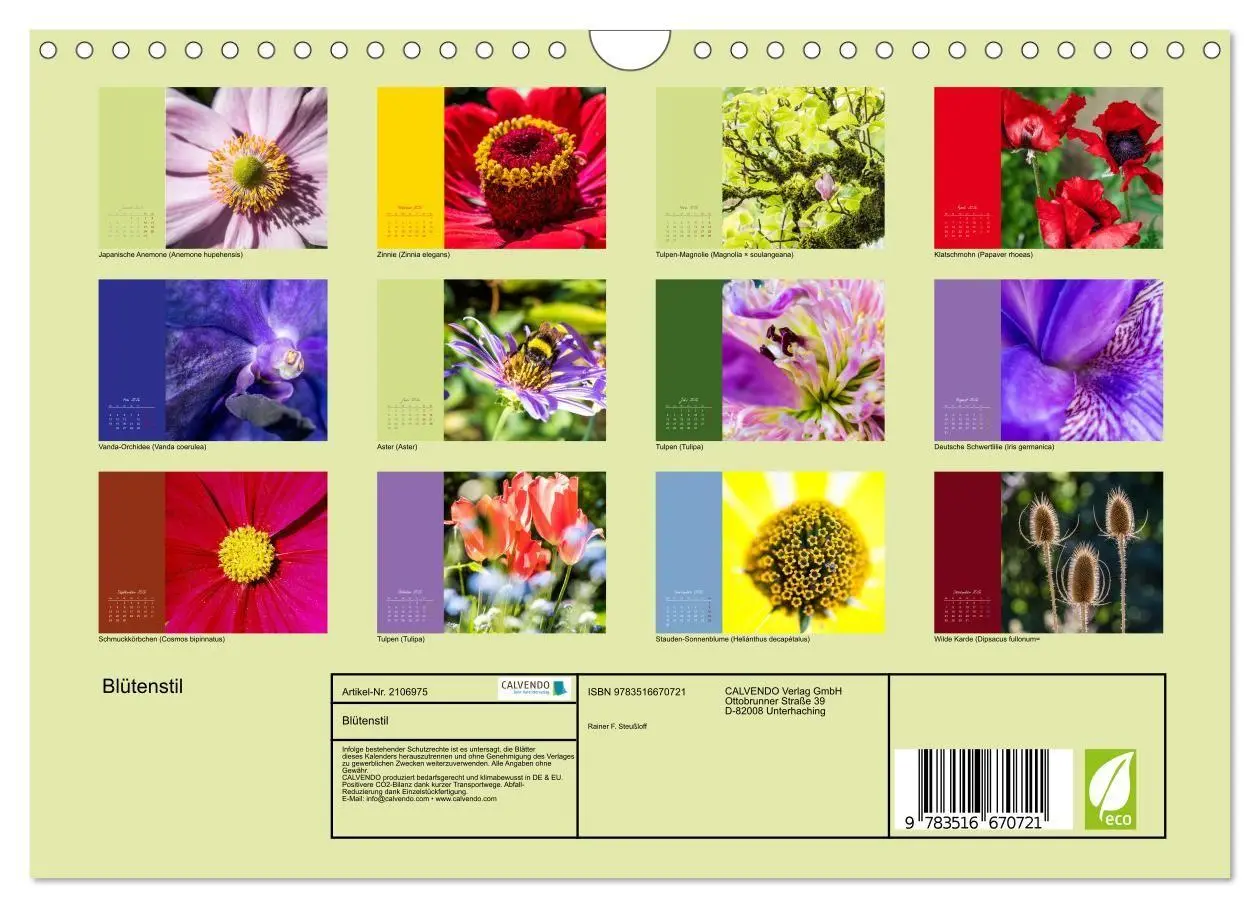 Bild: 9783516670721 | Blütenstil (Wandkalender 2026 DIN A4 quer), CALVENDO Monatskalender