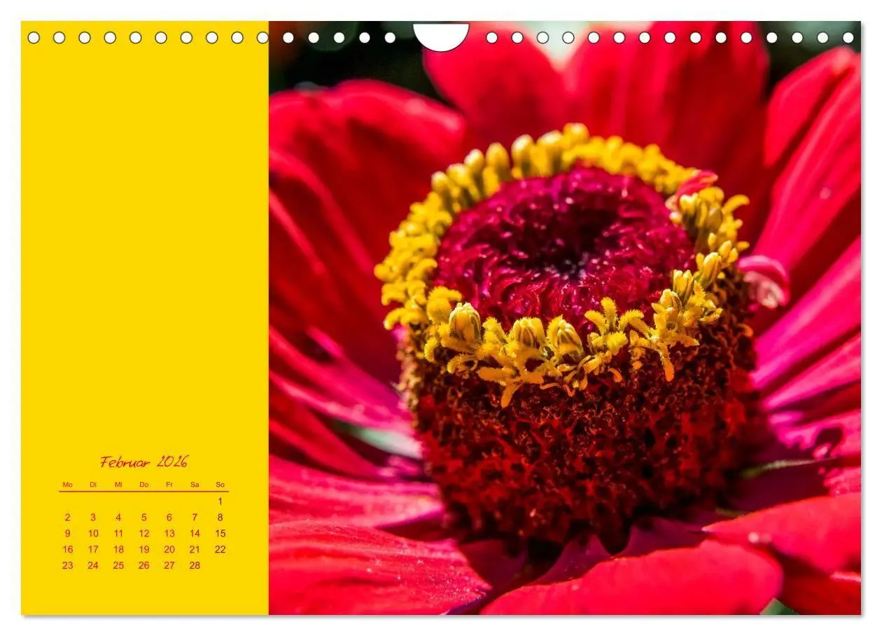 Bild: 9783516670721 | Blütenstil (Wandkalender 2026 DIN A4 quer), CALVENDO Monatskalender