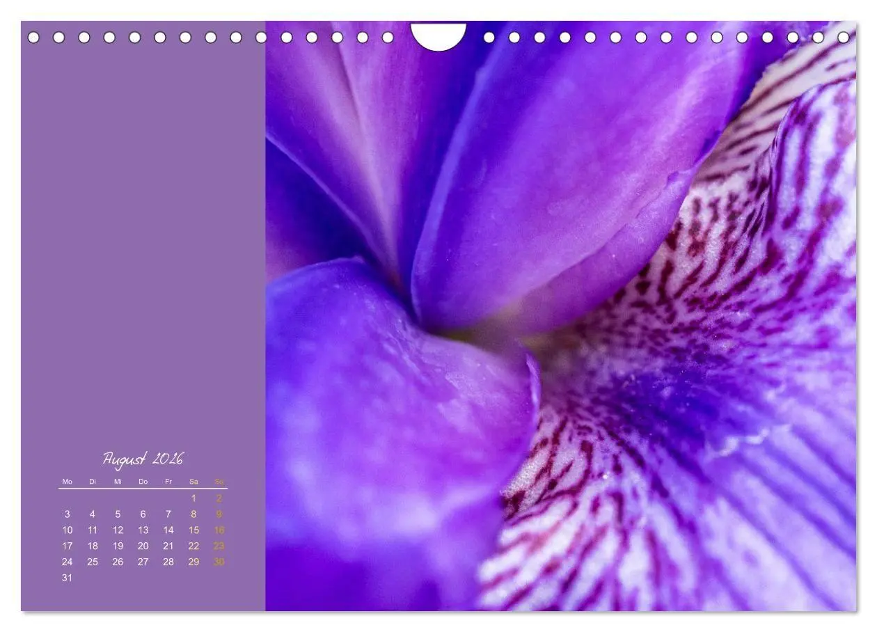 Bild: 9783516670721 | Blütenstil (Wandkalender 2026 DIN A4 quer), CALVENDO Monatskalender