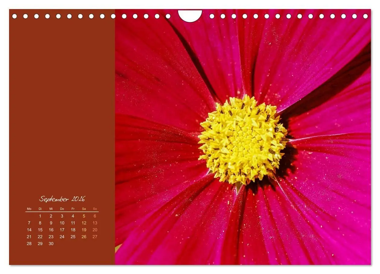 Bild: 9783516670721 | Blütenstil (Wandkalender 2026 DIN A4 quer), CALVENDO Monatskalender