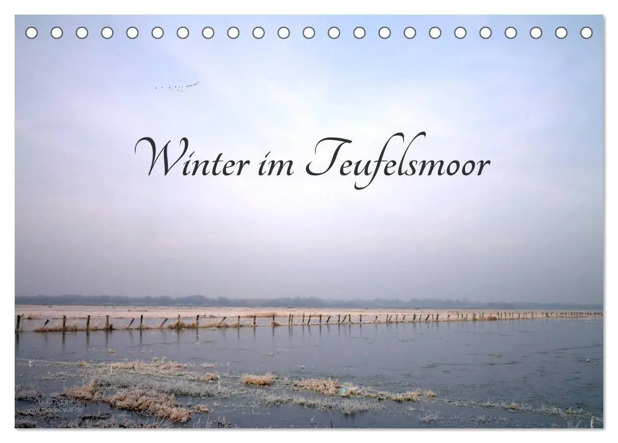 Cover: 9783569900721 | Winter im Teufelsmoor (Tischkalender 2027 DIN A5 quer), CALVENDO...