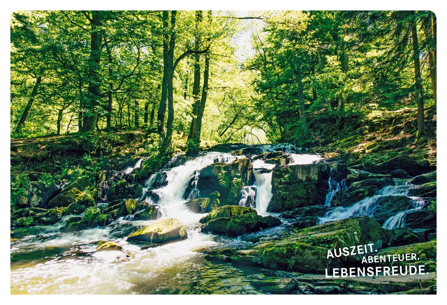 Bild: 9783770180721 | 52 kleine &amp; große Eskapaden rund um Harz | Ab nach draußen! | Zieseniß