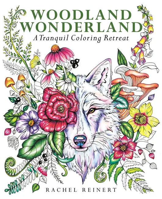 Cover: 9781684620821 | Woodland Wonderland | Rachel Reinert | Taschenbuch | Englisch | 2024
