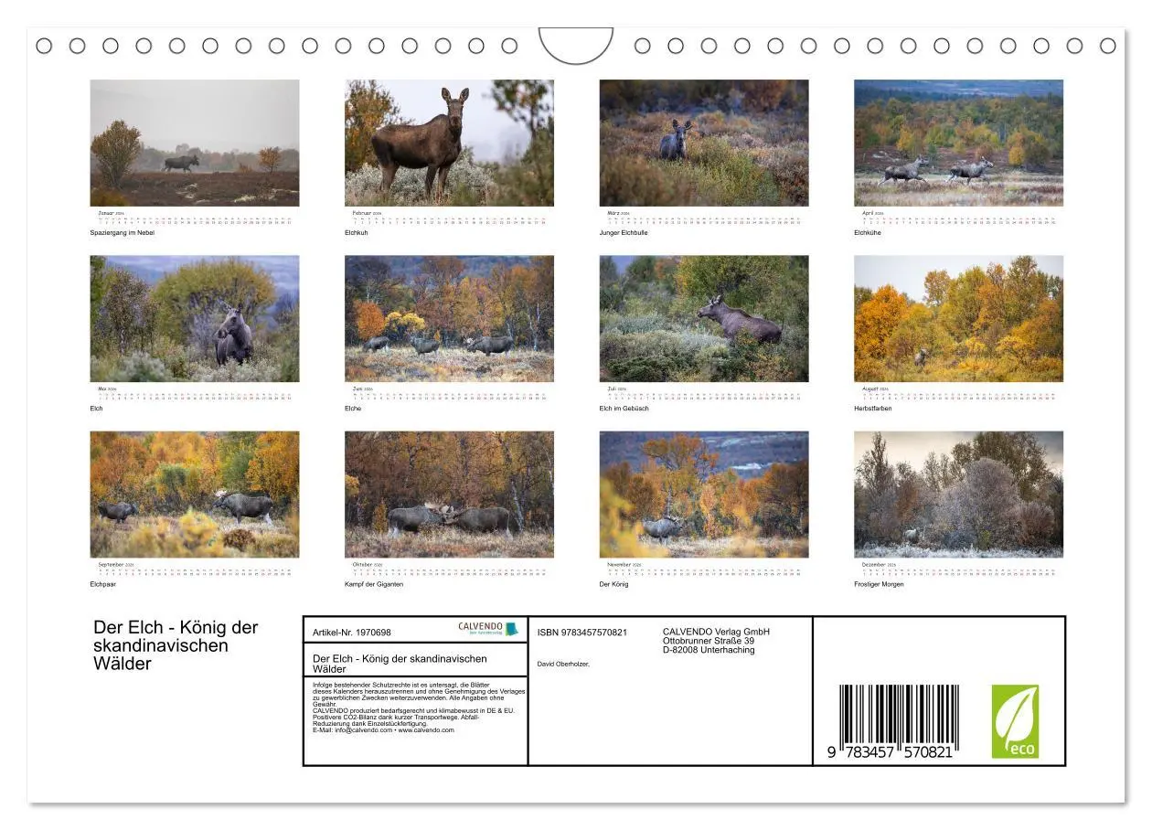 Bild: 9783457570821 | Der Elch - König der skandinavischen Wälder (Wandkalender 2026 DIN...