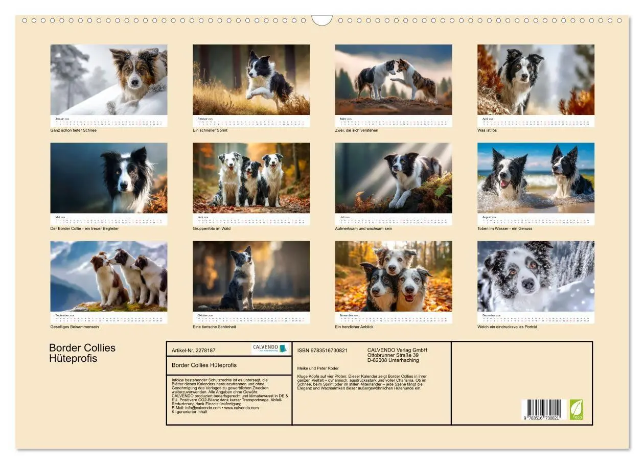 Bild: 9783516730821 | Border Collies Hüteprofis (Wandkalender 2026 DIN A2 quer), CALVENDO...