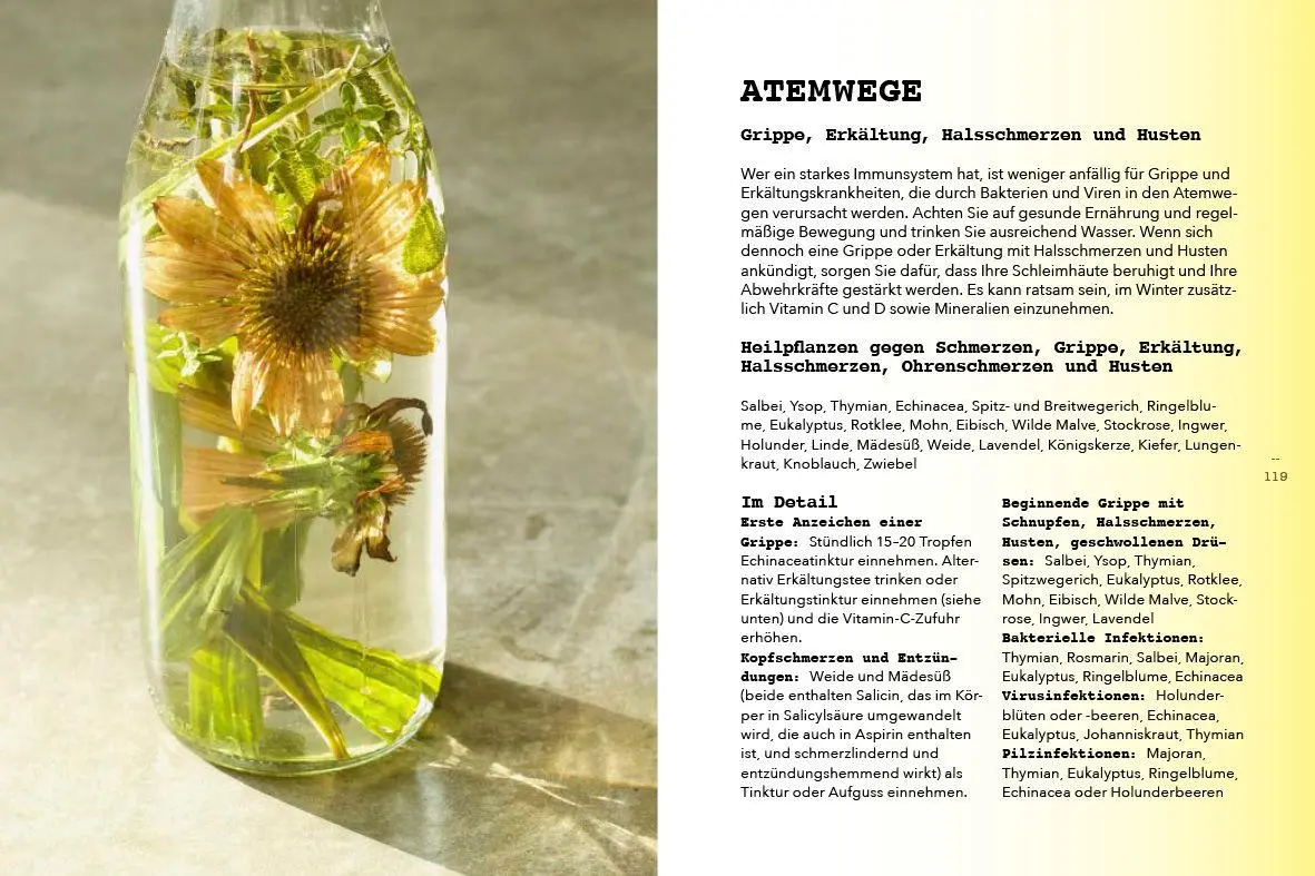 Bild: 9783517100821 | Pflanzen als Medizin | Das Handbuch für die Natur-Apotheke | Bontje