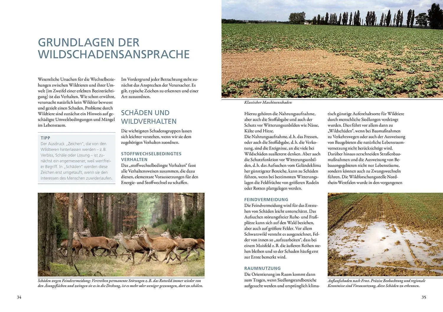 Bild: 9783440180921 | Wildschäden | Michael Petrak | Buch | 160 S. | Deutsch | 2025