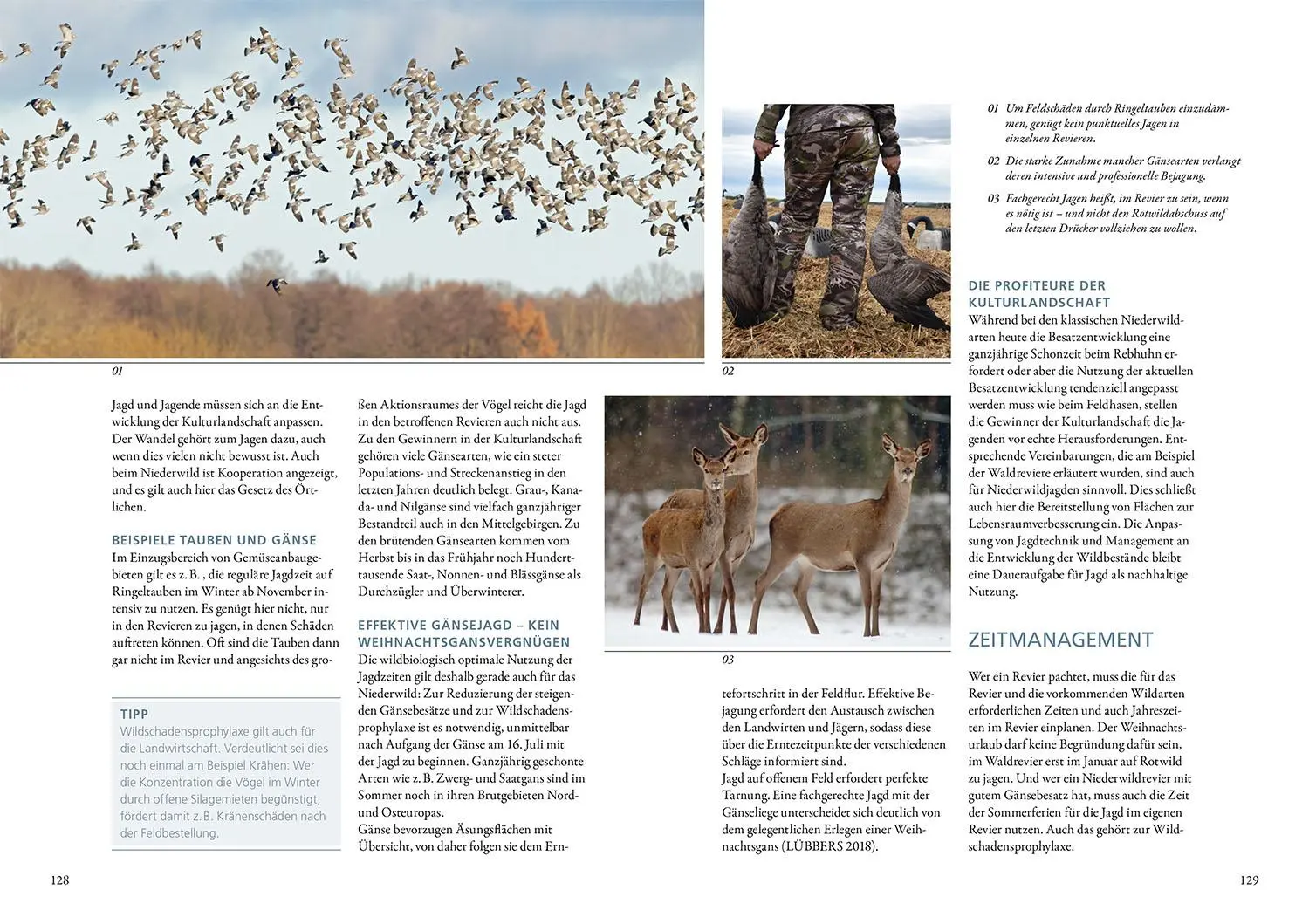 Bild: 9783440180921 | Wildschäden | Michael Petrak | Buch | 160 S. | Deutsch | 2025