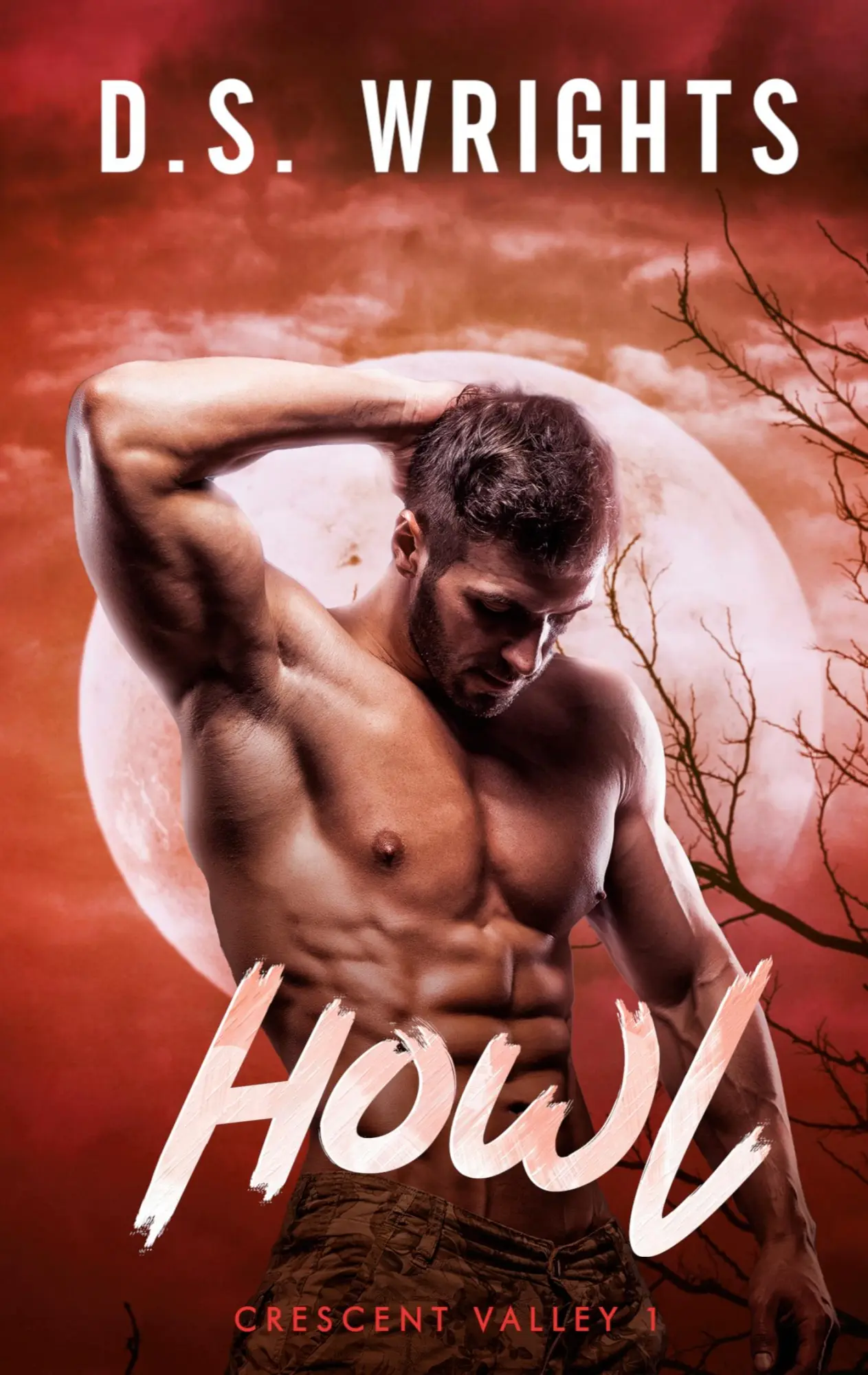 Cover: 9783756230921 | HOWL | Crescent Valley 1 | D. S. Wrights | Taschenbuch | Paperback