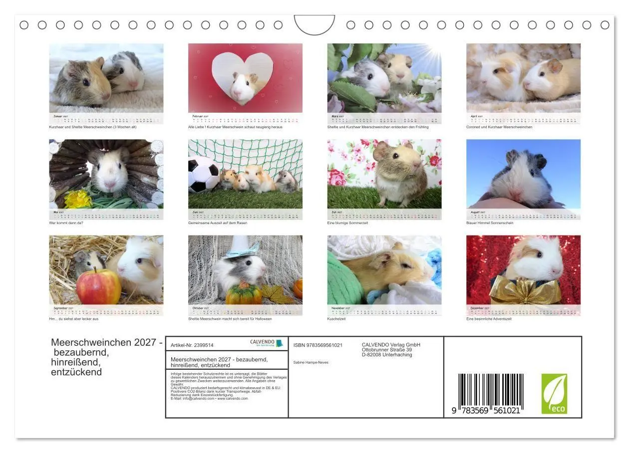Bild: 9783569561021 | Meerschweinchen 2027 - bezaubernd, hinreißend, entzückend...