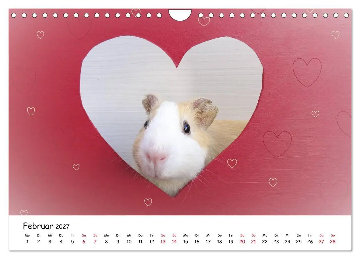 Bild: 9783569561021 | Meerschweinchen 2027 - bezaubernd, hinreißend, entzückend...