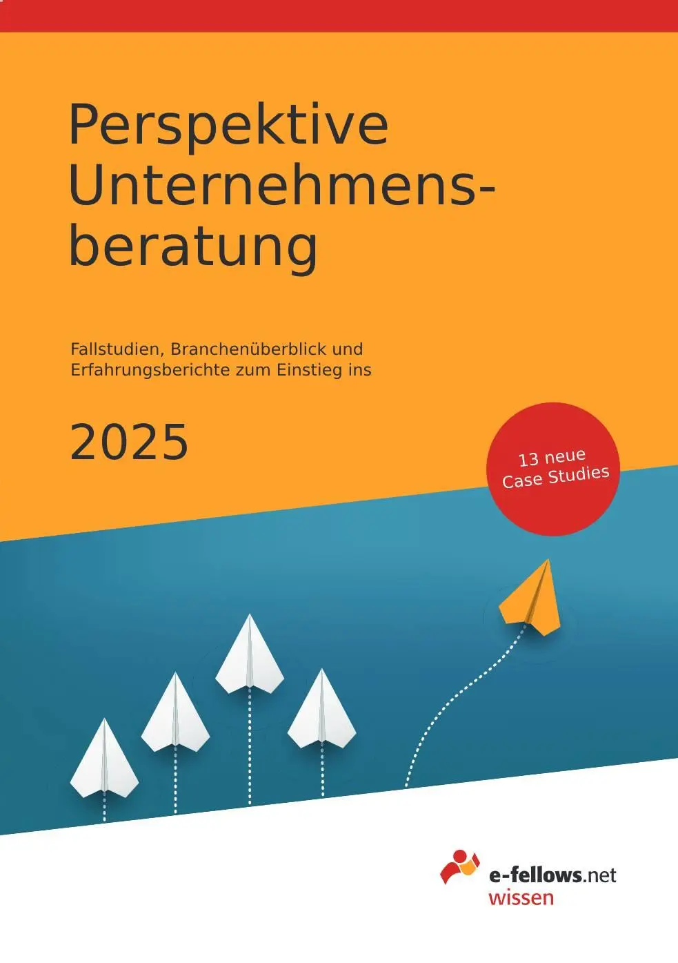 Cover: 9783911001021 | Perspektive Unternehmensberatung 2025 | Michael Hies | Buch | Gebunden