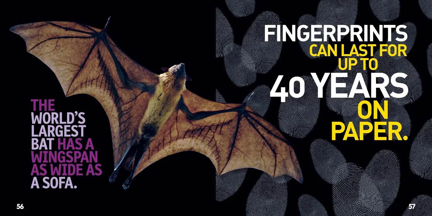 Bild: 9781426331121 | Weird But True 5: Expanded Edition | National Geographic Kids | Buch