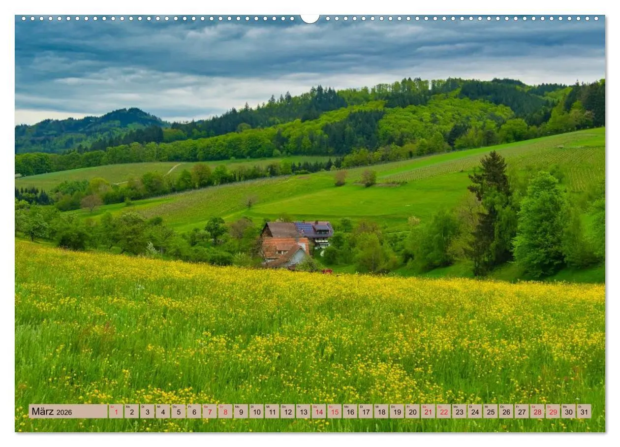Bild: 9783457751121 | Freiburg Regio (Wandkalender 2026 DIN A2 quer), CALVENDO...