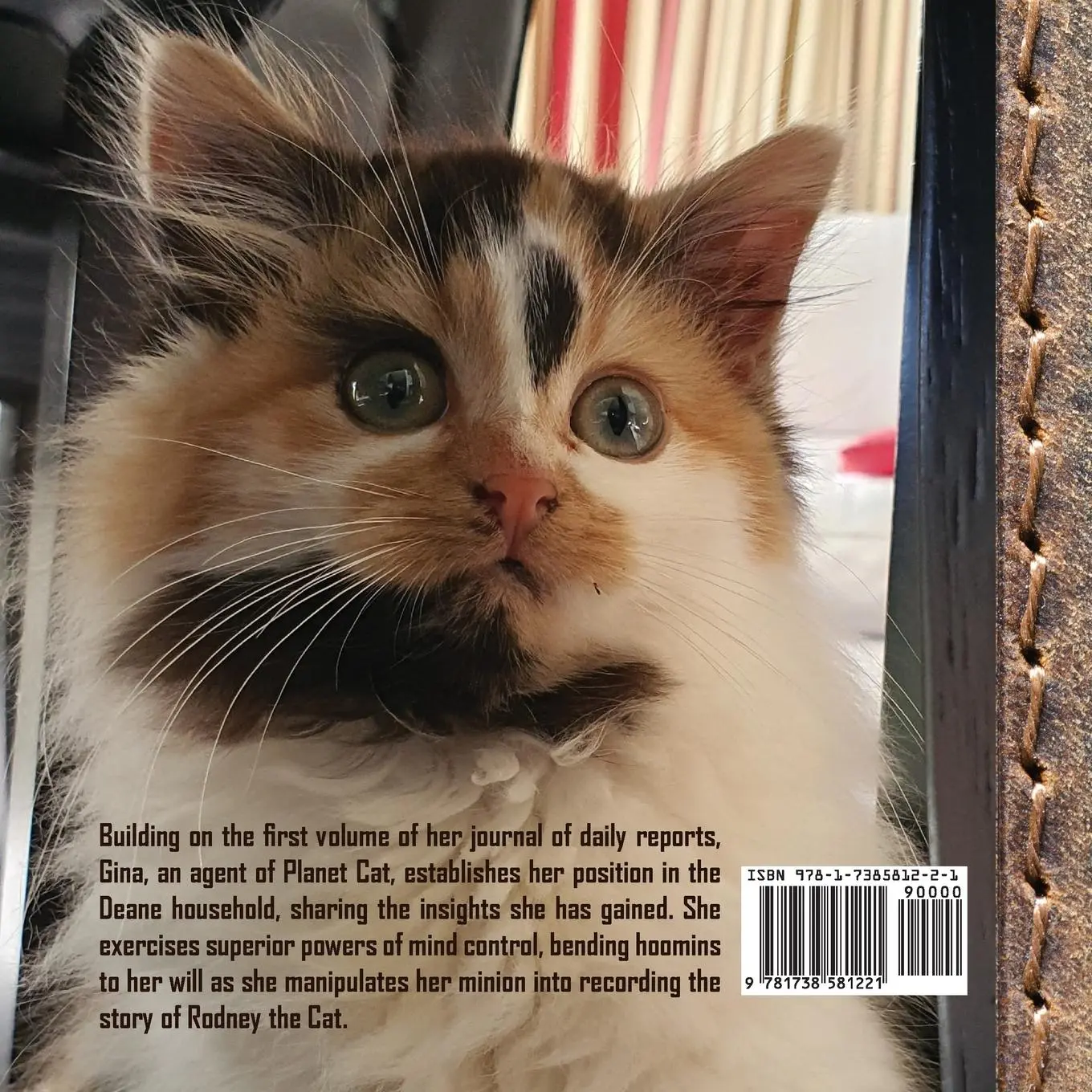 Rückseite: 9781738581221 | The Journal of Agent Gina Ginger Knickers, Phase Two | Linda Deane